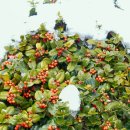 함평자연생태공원 이미지