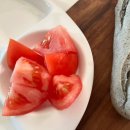 논산농약마트 | 스마트팜에서 자란 논산 프루니 완숙토마토, 신선도부터 달랐던 이유