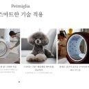 현대종합펫
