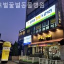 우리앤동물병원 이미지