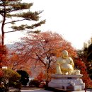 포대화상 이미지