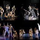 사랑하면 춤을 춰라 이미지