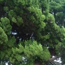 김석윤가옥 이미지