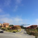 신성여자고등학교 이미지