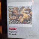 광주 삽결살 유명한 맛집 농성화로 / 알탕 맛있는 생태마을