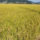 향미미 - 동대문구 경희대로1길 8-13 | 향미미