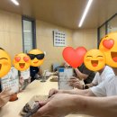 금나라은나라 | <공자가 죽어야 나라가 산다> 독서모임 후기