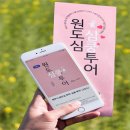 탑동 관광안내소 이미지