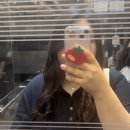 휴가, 발산 맛집, 파일럿, 홍대 만화카페, 홍대 카페, 단양 카페, 을지로 카페, 이천 맛집, 송정역 맛집)