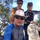 제198차 9.23(金) 魚龍山(617m) 金曜山行 이미지