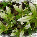 대구교육정보원 이미지