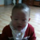 해오름집 Daum카페