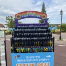 푸드딜라이트 안성중앙대점 | 경기도 아이랑 가볼만한곳 안성팜랜드 (무료입장)