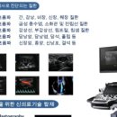 속튼튼내과의원 이미지