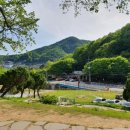 모어그린 이미지