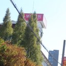 다송자동차정비 | 울산맛집베스트 다이닝와카바 마제우동