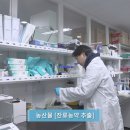 필영픽쳐스