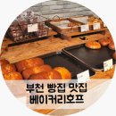 짝커피호프 | 부천 빵집 맛집 베이커리호프 빵지순례 후기