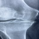 서울스카이정형외과의원 이미지