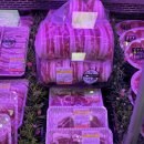 보성마트 정육점 이미지