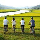 삽교천자전거길 이미지