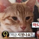 잠꾸러기 - 제천시 탑안로10길 4 | 잠꾸러기