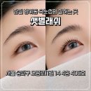 샛별프라자 | 잠실속눈썹샵 방이동 속눈썹펌 꼼꼼하게 잘하는 샛별래쉬