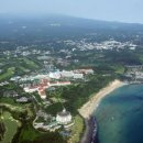 제주 올라 이미지