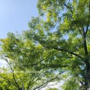 불교중앙박물관 | 유익했던 박물관 탐방 아이랑 국립중앙박물관 후기