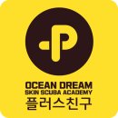 블루오션스킨스쿠버 이미지