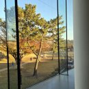 리미술관 | 경주 가볼만한곳 오아르미술관 황리단길 근처 실내놀거리 볼거리 추천