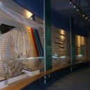 장생포고래로 이미지