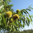 솔길농장 이미지