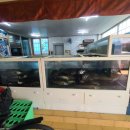 명진회센타 이미지