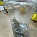 잔잔거제 | 거제 독채 키즈 펜션 잔잔 이보다 더 자세할 순 없는 내돈내산 이용 후기