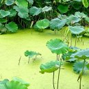 봉성공인중개사사무소 이미지