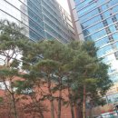 미래타워 이미지