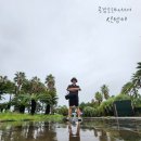 주상절리 관광안내소 | 제주 주상절리 제주도 중문가볼만한곳 제주 중문관광단지 대포 해안 입장료