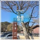 왕능우물 | 영월여행) 영월 장릉,비운의 왕 단종을 만나다 | 입장료·주차·코스 총정리(2026.02.28)
