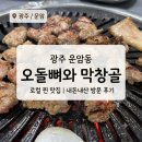막창골 | 운암동 맛집 오돌뼈와 막창골본점 내돈내산 후기