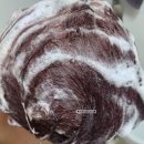 [제품후기]칼앤할스 스칼프 너리싱 두피케어 단백질 샴푸(멜로우코코넛) 좋아요 ♥