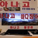 강구아나고