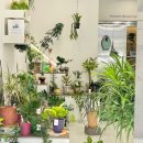 그린다이닝 이미지