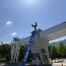 중앙경찰학교 | 중앙 경찰학교 319기 졸업식 : 우리 엄마 아들