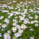 선배네농장 이미지