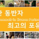 인간 동반자 최고의 포유류 Best Mammals in Human Partnership 이미지