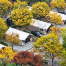 안산 화랑유원지 이미지