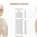 이웃집한의원 대구달서점 이미지