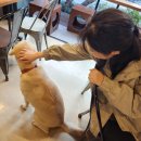 마담스토리