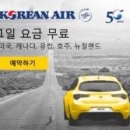 W렌터카 이미지